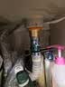 莱尔诗丹弹跳下水器 面盆落水器 浴室柜洗脸盆洗手盆去水器 排水器LD10138 实拍图