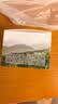 山山活性炭7kg除甲醛异味新房去吸味甲醛清除剂除味活性炭除甲醛碳包 实拍图