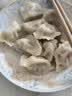 饺小歌海胆水饺240g/12只 生鲜健康早餐速食面点生鲜速冻饺子 实拍图