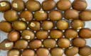 佳沛（zespri）新西兰金奇异果18粒超大原箱175-204g猕猴桃水果礼盒 实拍图