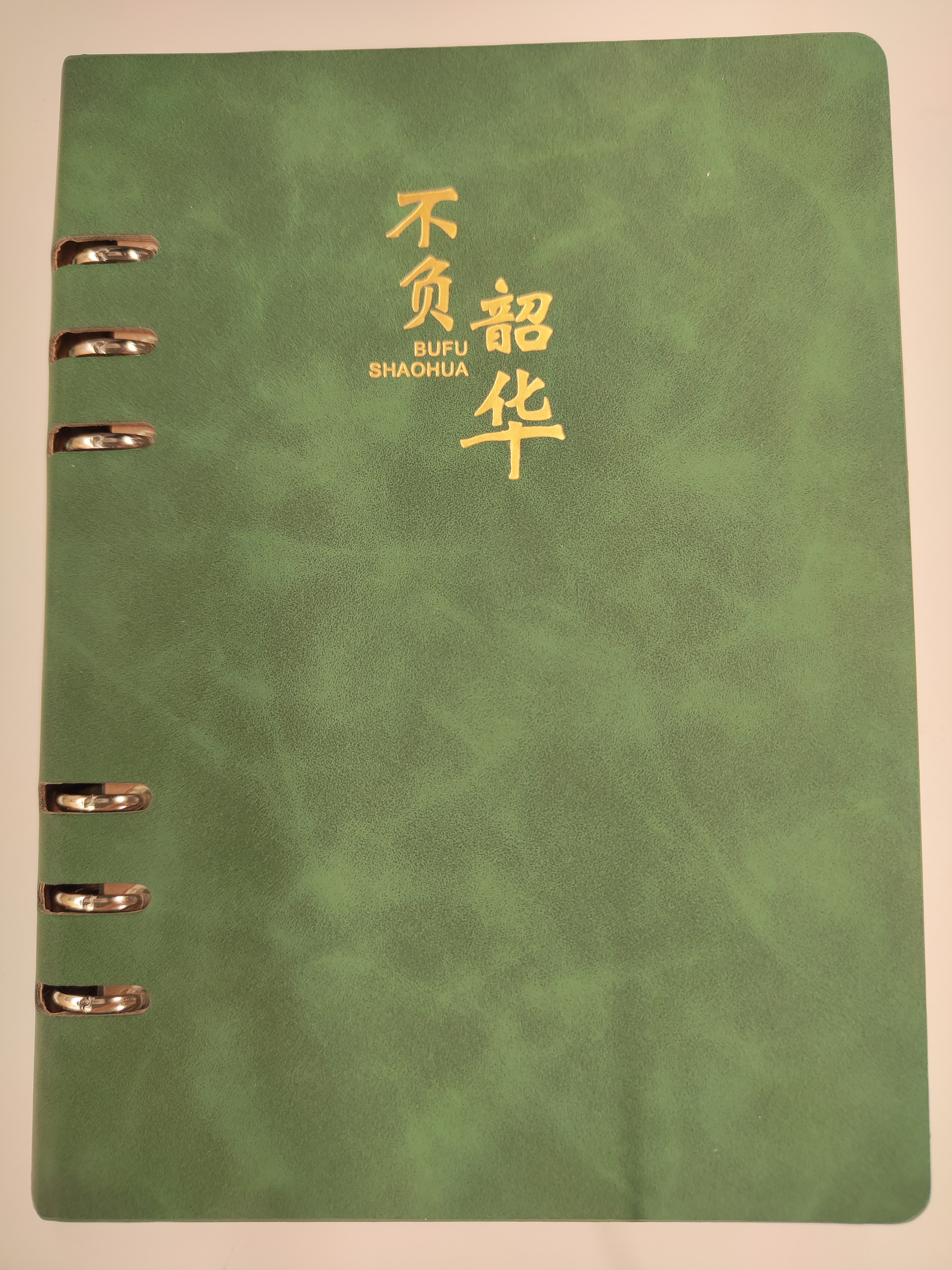 申士A5简约活页本笔记本子可替换6孔内芯95张/190页封面寓意办公商务记事本可印LOGO JD5001绿色1本 实拍图