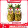 佳农菲律宾进口菠萝2个装 凤梨 单果净重2斤 生鲜水果 中秋送礼 实拍图