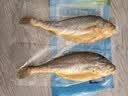海名威宁德三去大黄鱼 对半厚切黄花鱼 净重700g/2片 海鲜海鱼 生鲜鱼类 实拍图