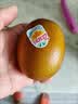 佳沛（zespri）新西兰金奇异果10粒巨大果146-175g猕猴桃水果礼盒 实拍图