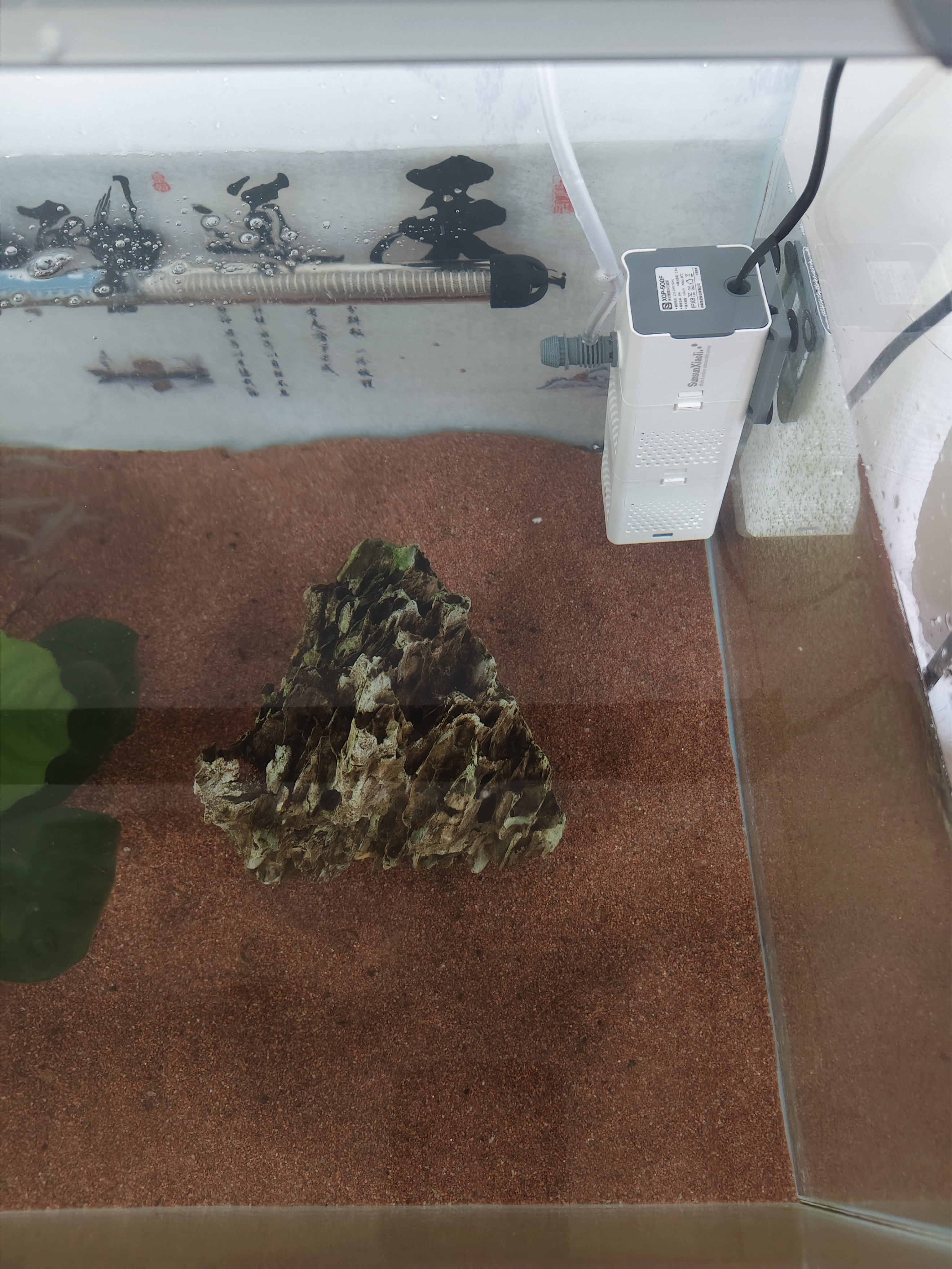 森森 小鲤鱼缸过滤器净水循环三合一内置水族箱过滤系统XQP-500F 6W 实拍图