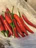 【一人食】红小米椒50g 实拍图