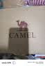骆驼（CAMEL）【漫游】运动鞋新款女鞋网面透气复古休闲百搭厚底增高慢跑步鞋子 实拍图