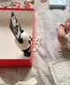 万乐途电动熊猫唱歌跳舞玩具婴幼儿0-1岁抬头练习视觉训练宝宝学爬神器 实拍图