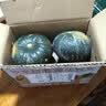 京鲜生 内蒙贝贝南瓜净3斤(粉糯瓜)中果300+蔬菜辅食板栗味源头直发 实拍图