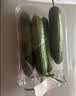 【水果菜】荷兰水果黄瓜约400g 实拍图