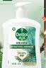 滴露（Dettol）洗手液松木500g瓶 健康抑菌消毒非补充装 儿童家庭用清爽去油 实拍图