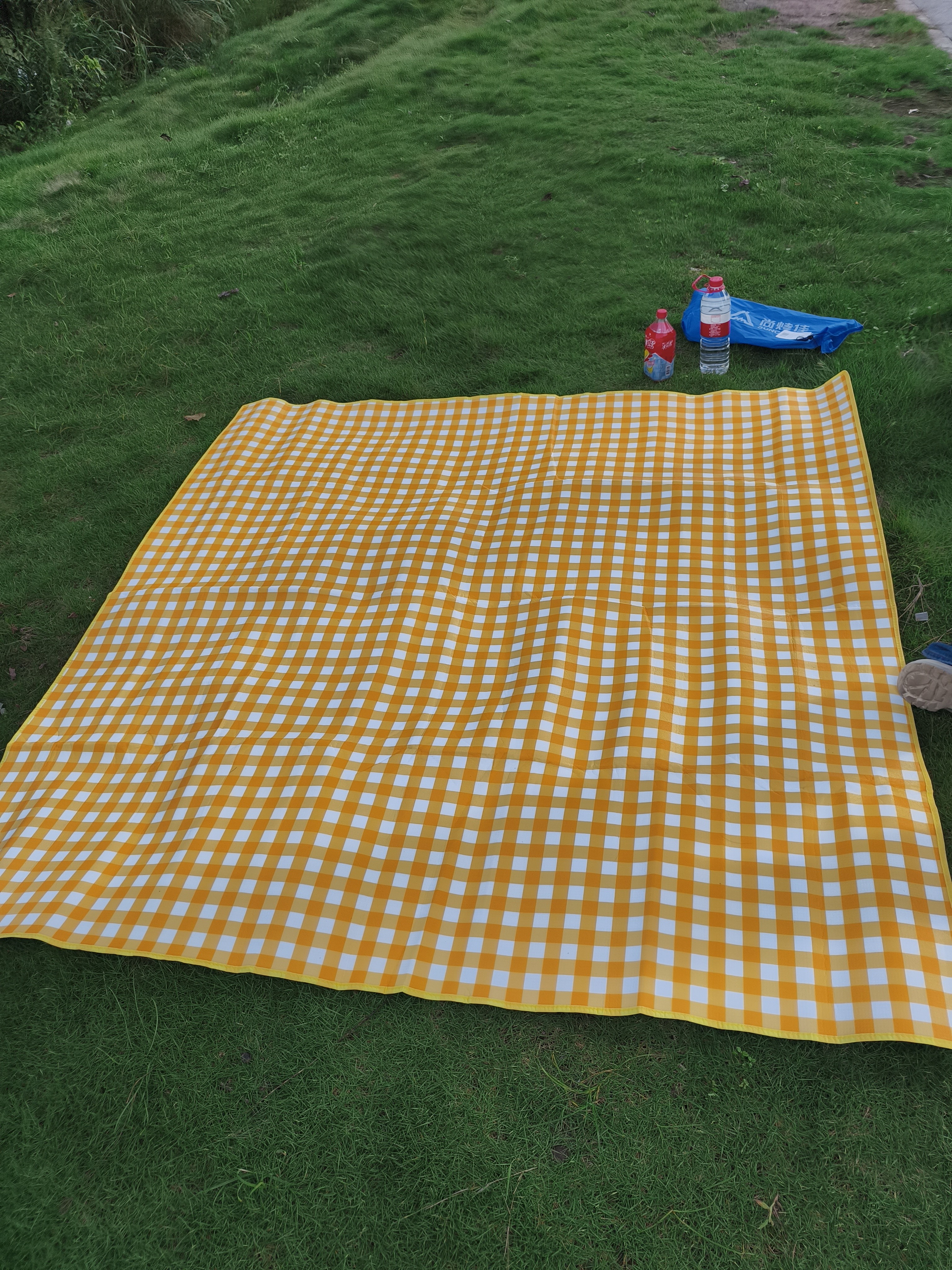 尚烤佳（Suncojia）野餐垫 防潮垫 黄白格沙滩垫子 帐篷隔潮爬行垫2*2米打地铺 实拍图