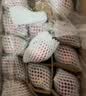 佳农烟台红富士苹果 净重4.8斤 单果重约200g+ 生鲜水果礼盒 源头直发 实拍图