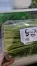 小汤山 茴香 250g 基地直供新鲜蔬菜安全可追溯 实拍图