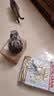 皇家美短成猫粮 ASA31 通用粮 12月以上 10KG 实拍图