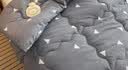 南极人（Nanjiren） 被子冬季加厚保暖冬被单人学生棉被铺被春秋太空被芯空调被床上 魅力爱巢 150*200cm/4斤 实拍图