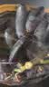 京鲜生 云南蓝宝石葡萄 金手指无籽黑提 4-4.5斤  生鲜水果礼盒 实拍图