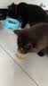 多特思猫罐头猫湿粮主食罐浓汤补水罐猫咪零食下午茶金瓜奶露60g*6罐 实拍图