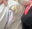 安儿乐（Anerle）【未检出甲酰胺】超柔防漏新生儿纸尿片S44片(3-6kg)透气尿不湿 实拍图