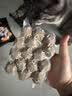 潮夫道牛肉丸潮汕手打250g 火锅丸子食材关东煮丸料空气炸锅麻辣烫烧烤 实拍图