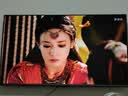 东芝电视Z500QF-R 55英寸 Mini LED控光 144Hz 3+64GB 火箭炮音响 4K超清 家电国家补贴 实拍图