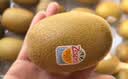 佳沛（zespri）新西兰金奇异果22粒巨大原箱146-175g猕猴桃水果礼盒 实拍图