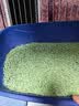 狮子医生 豆腐猫砂吸臭低尘不沾底速团绿茶味猫砂可冲厕所 2.4kg*4包 实拍图
