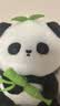 名创优品（MINISO）小熊猫玩偶毛绒公仔玩具布娃娃抱枕床上宿舍陪睡抱枕礼物送女生 实拍图