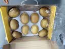 佳沛（zespri）新西兰金奇异果10粒巨大果146-175g猕猴桃水果礼盒 实拍图