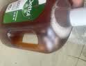 滴露（Dettol）消毒液 灭活流感HPV16病毒消毒水 除菌洗衣家居除螨杀菌预防流感 【杀菌除螨】松木1.8L 实拍图