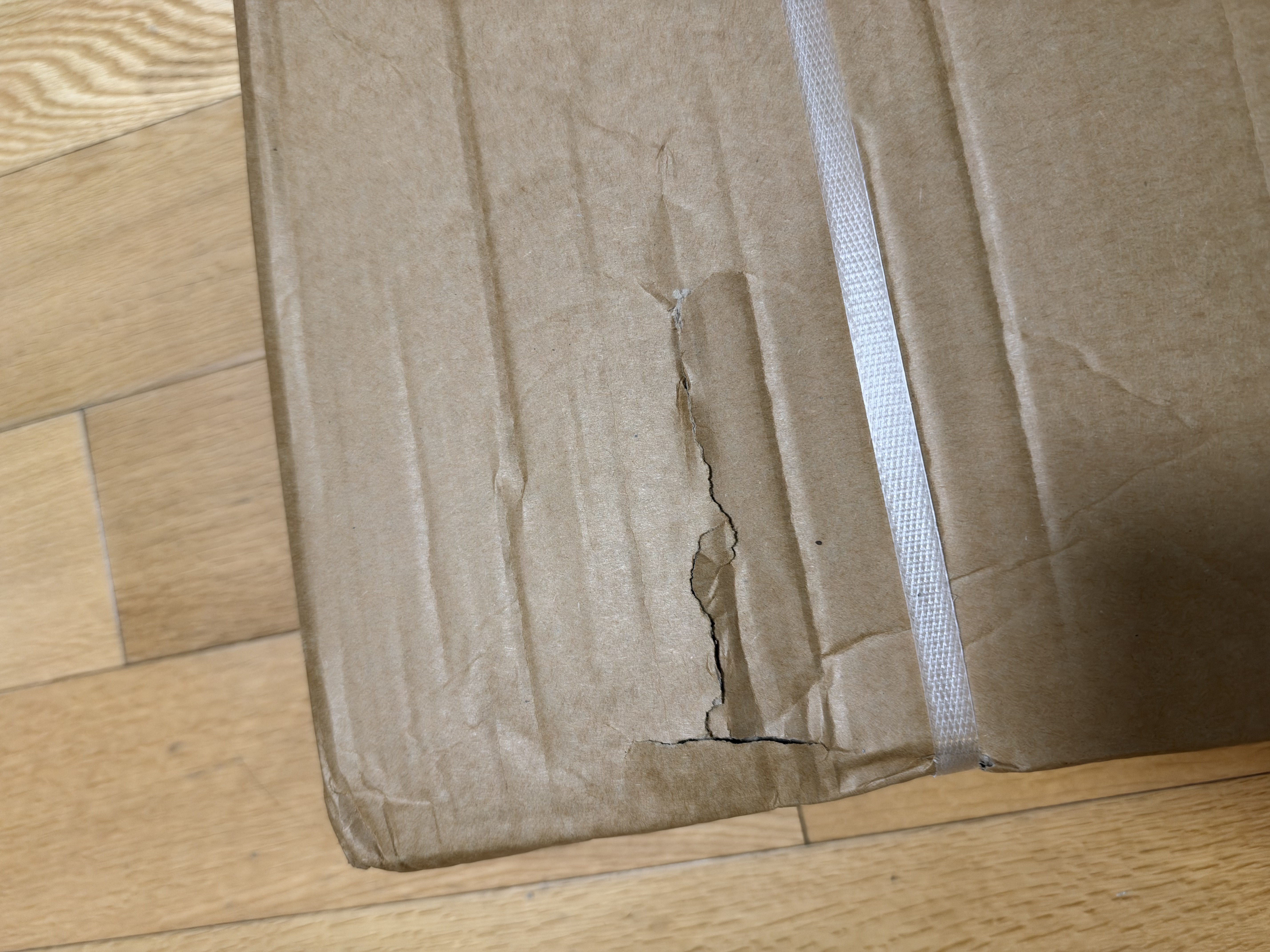 Feble引体向上器家用单杠室内引体向上架健身器材多功能落地双杠训练器 热卖款【特厚主架】双杠/俯卧撑/护腰背垫 多功能升级加固版 实拍图