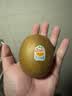 佳沛（zespri）新西兰金奇异果18粒超大原箱175-204g猕猴桃中秋节礼品送水果礼盒 实拍图
