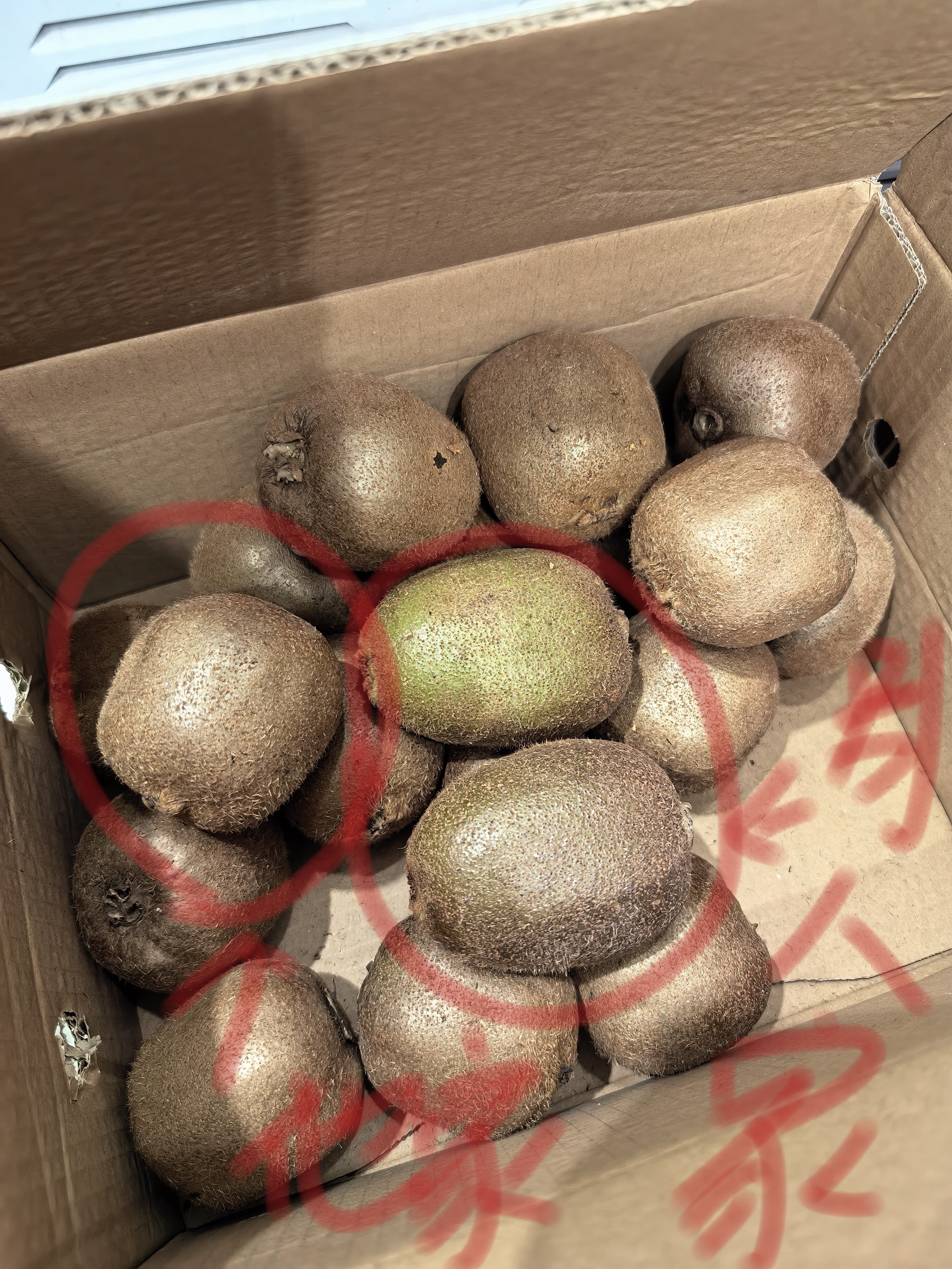 京鲜生 陕西亚特绿心猕猴桃 5斤装 超大果 单果130g+ 新鲜国庆水果 实拍图