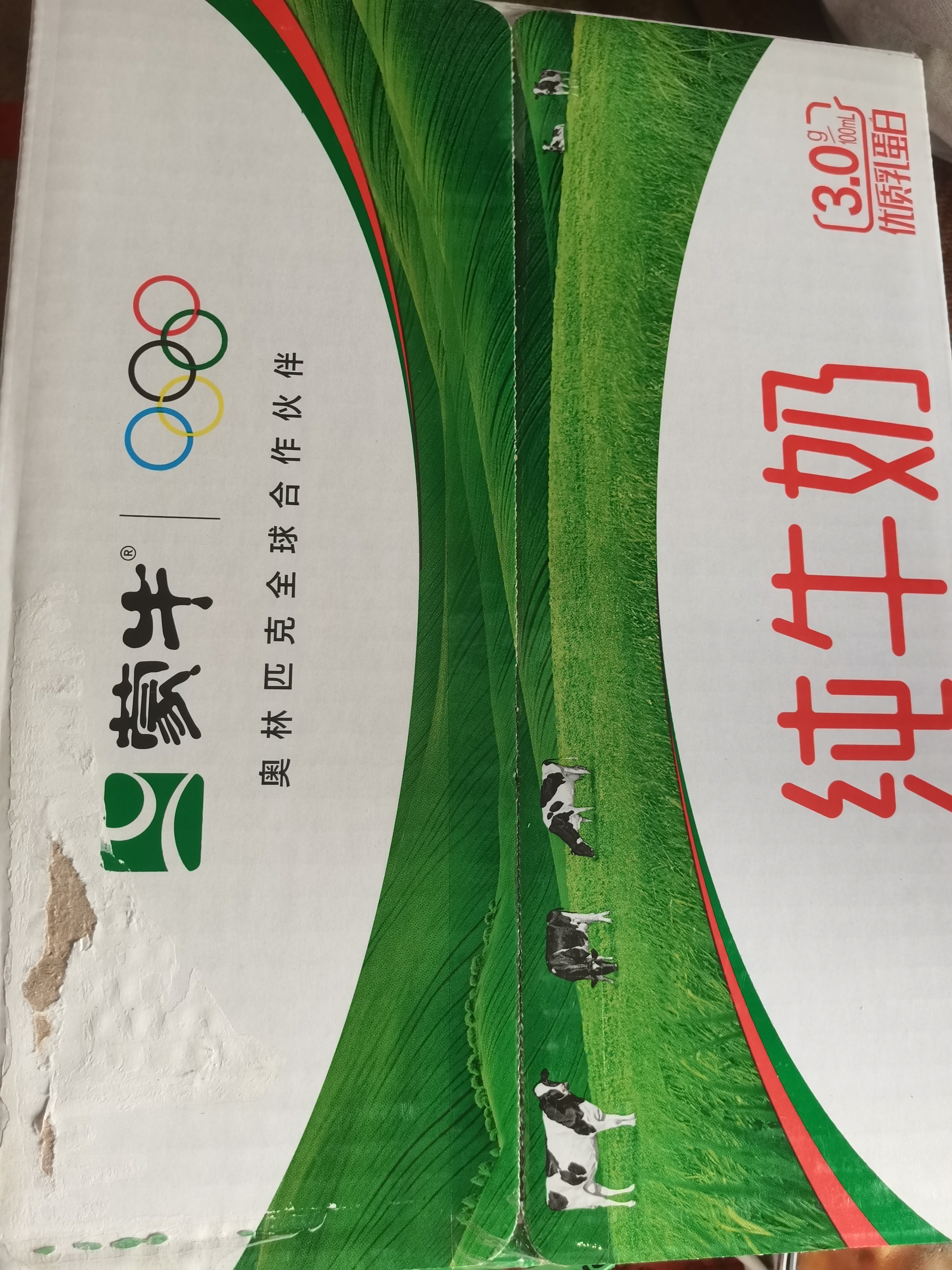 蒙牛 纯牛奶利乐枕240ml*16 开学学生礼物 实拍图
