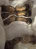 京鲜生探鲜锋云南新鲜松茸净重1000g单个7-9cm出口级别源头直发包邮 实拍图