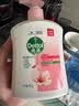 滴露（Dettol）健康抑菌洗手液滋润倍护500g 消毒抑菌99.99% 儿童适用不含酒精 实拍图