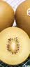 佳沛（zespri）新西兰金奇异果10个装单果重103-114g猕猴桃水果礼盒 实拍图