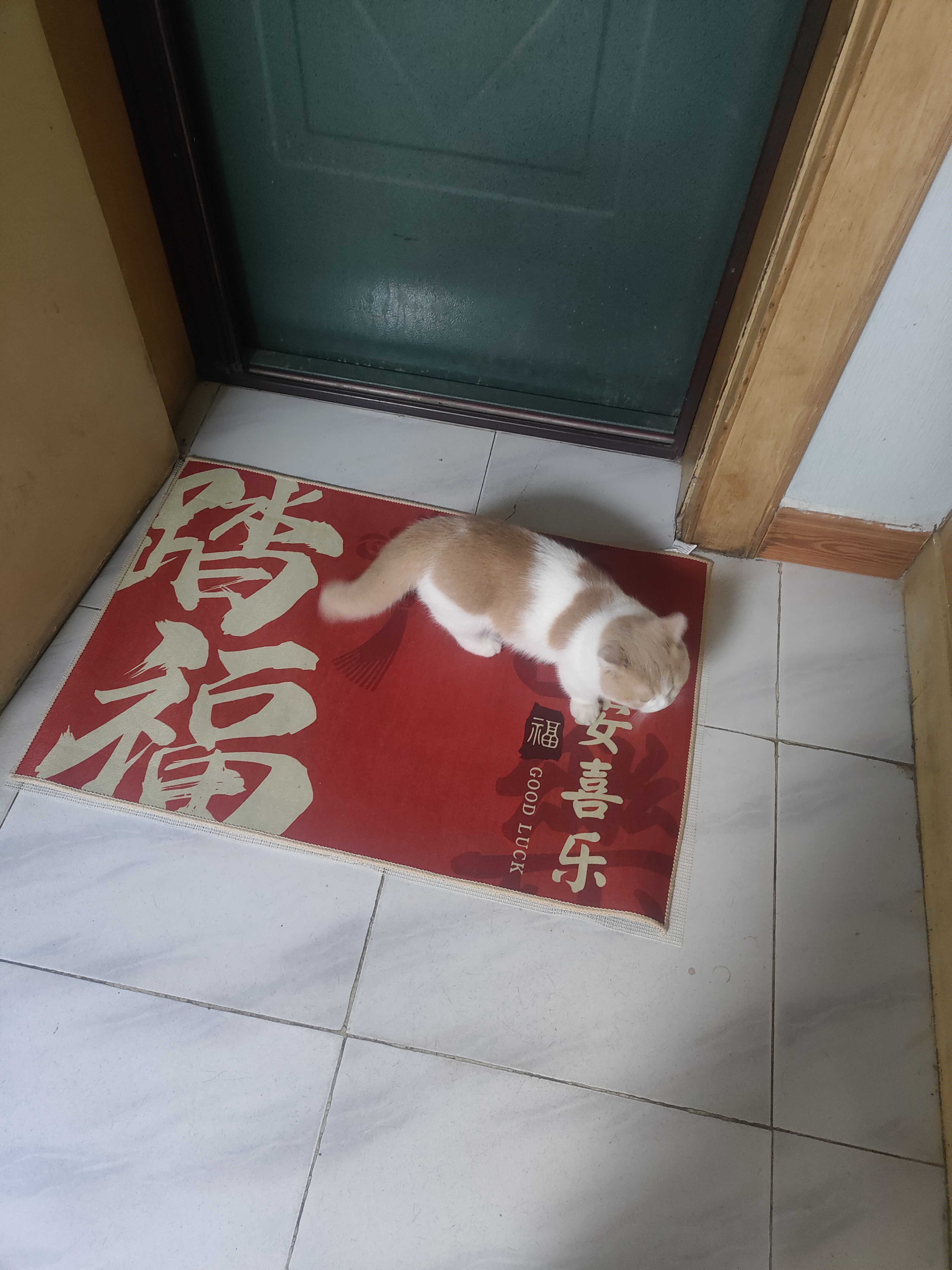布迪思入户门地垫 进户门口垫子 可裁剪吸水防滑进门脚垫90*60CM 实拍图