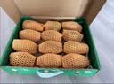 佳沛（zespri）新西兰金奇异果10个装单果重103-114g猕猴桃中秋节礼品送水果礼盒 实拍图