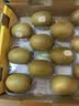 佳沛（zespri）新西兰金奇异果15粒巨大果146-175g猕猴桃水果礼盒 实拍图