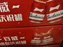 百威mini红罐淡色拉格255ml*12罐整箱装京东自营中秋礼品【饮用至26】 实拍图