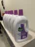 滴露（Dettol）衣物消毒液除菌薰衣草3L 衣服消毒水99.9%杀菌除螨内衣裤 实拍图