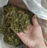 BCM烘干全叶苜蓿草幼兔干草兔子紫花苜蓿草纯叶子龙猫荷兰猪兔粮400g 实拍图