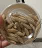 康美麦冬150g 中药饮片 四川道地药材 养阴生津 润肺清心 用于肺燥干咳 饱满大粒养生茶煲汤材料 实拍图