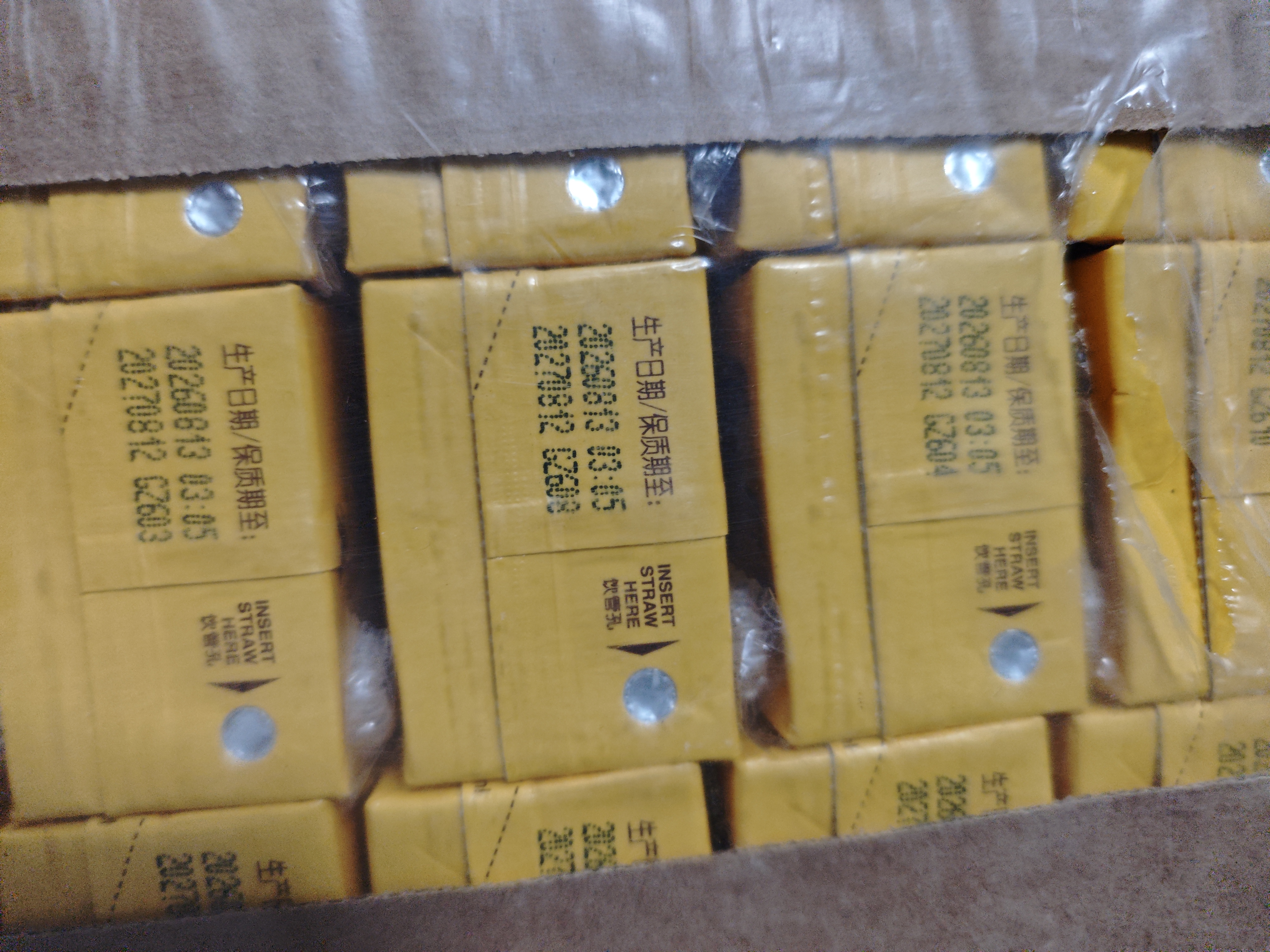 统一（President）麦香原味 奶茶 250ml*24盒 实拍图