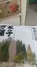 方家铺子莲子400g湘潭磨皮通芯大号白莲子去芯桂圆枸杞百合银耳羹粽子食材 实拍图