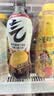 元气森林0糖0脂0卡 冰柠可乐味气泡水 480mL*15瓶 整箱碳酸饮料 实拍图