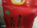 十月稻田 长粒香大米 10斤（东北大米 香米 5kg/公斤） 实拍图