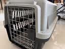 腆宠宠物航空箱大号 猫咪航空箱猫狗 猫包猫笼外出车载猫箱狗狗托运 实拍图