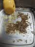 九阳（Joyoung）电热饭盒加热饭盒保温饭盒可加热办公室热饭神器上班族加热便当盒F10H-FH200 实拍图